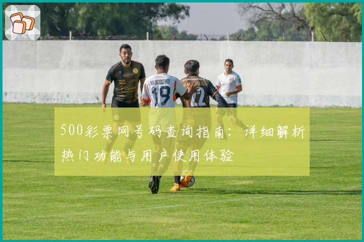 500彩票网号码查询指南：详细解析热门功能与用户使用体验