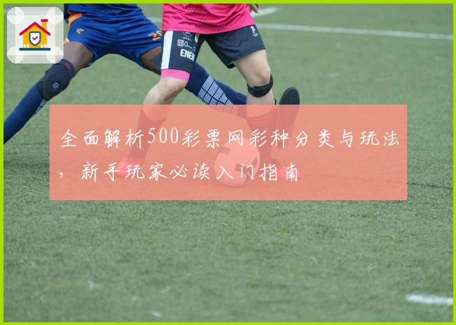 全面解析500彩票网彩种分类与玩法，新手玩家必读入门指南