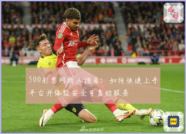500彩票网新人指南：如何快速上手平台并体验安全可靠的服务