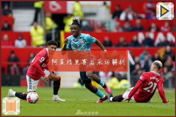 阿莱格里赛后采访解析