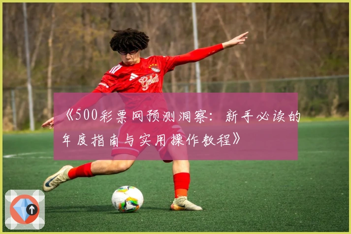 《500彩票网预测洞察：新手必读的年度指南与实用操作教程》
