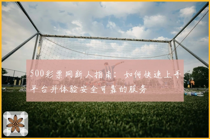 500彩票网新人指南：如何快速上手平台并体验安全可靠的服务