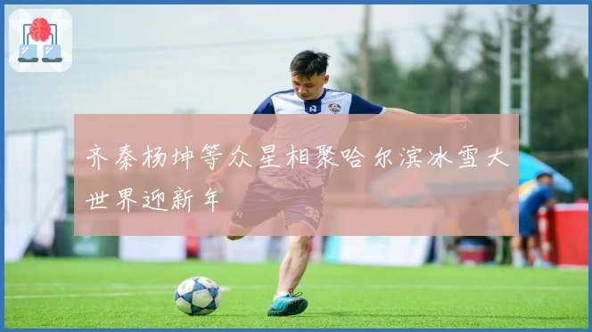 齐秦杨坤等众星相聚哈尔滨冰雪大世界迎新年